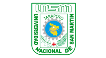 Universidad Nacional de San Martín